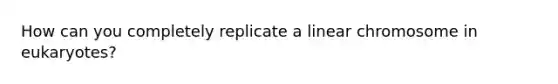 How can you completely replicate a linear chromosome in eukaryotes?