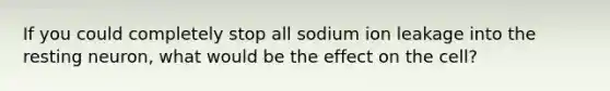 If you could completely stop all sodium ion leakage into the resting neuron, what would be the effect on the cell?