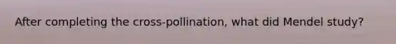 After completing the cross-pollination, what did Mendel study?