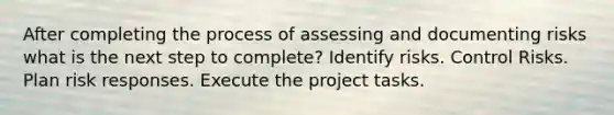 After completing the process of assessing and documenting risks what is the next step to complete? Identify risks. Control Risks. Plan risk responses. Execute the project tasks.