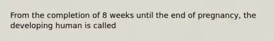 From the completion of 8 weeks until the end of pregnancy, the developing human is called