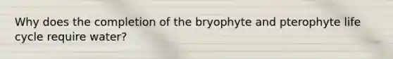 Why does the completion of the bryophyte and pterophyte life cycle require water?