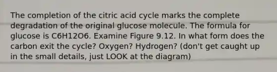 The completion of the citric acid cycle marks the complete degradation of the original glucose molecule. The formula for glucose is C6H12O6. Examine Figure 9.12. In what form does the carbon exit the cycle? Oxygen? Hydrogen? (don't get caught up in the small details, just LOOK at the diagram)