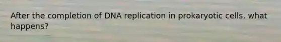 After the completion of DNA replication in prokaryotic cells, what happens?