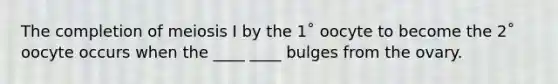 The completion of meiosis I by the 1˚ oocyte to become the 2˚ oocyte occurs when the ____ ____ bulges from the ovary.