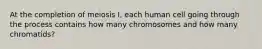 At the completion of meiosis I, each human cell going through the process contains how many chromosomes and how many chromatids?