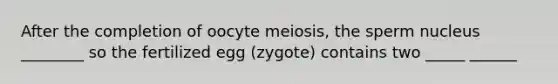 After the completion of oocyte meiosis, the sperm nucleus ________ so the fertilized egg (zygote) contains two _____ ______