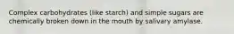 Complex carbohydrates (like starch) and simple sugars are chemically broken down in the mouth by salivary amylase.