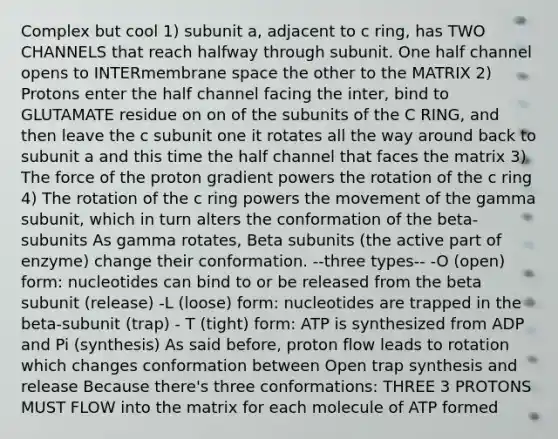 Complex but cool 1) subunit a, adjacent to c ring, has TWO CHANNELS that reach halfway through subunit. One half channel opens to INTERmembrane space the other to the MATRIX 2) Protons enter the half channel facing the inter, bind to GLUTAMATE residue on on of the subunits of the C RING, and then leave the c subunit one it rotates all the way around back to subunit a and this time the half channel that faces the matrix 3) The force of the proton gradient powers the rotation of the c ring 4) The rotation of the c ring powers the movement of the gamma subunit, which in turn alters the conformation of the beta-subunits As gamma rotates, Beta subunits (the active part of enzyme) change their conformation. --three types-- -O (open) form: nucleotides can bind to or be released from the beta subunit (release) -L (loose) form: nucleotides are trapped in the beta-subunit (trap) - T (tight) form: ATP is synthesized from ADP and Pi (synthesis) As said before, proton flow leads to rotation which changes conformation between Open trap synthesis and release Because there's three conformations: THREE 3 PROTONS MUST FLOW into the matrix for each molecule of ATP formed