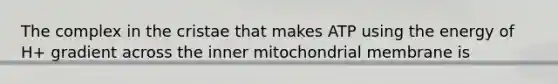 The complex in the cristae that makes ATP using the energy of H+ gradient across the inner mitochondrial membrane is