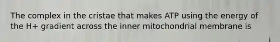 The complex in the cristae that makes ATP using the energy of the H+ gradient across the inner mitochondrial membrane is