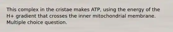 This complex in the cristae makes ATP, using the energy of the H+ gradient that crosses the inner mitochondrial membrane. Multiple choice question.