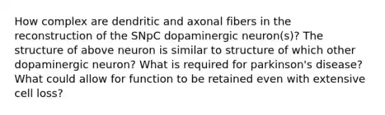 How complex are dendritic and axonal fibers in the reconstruction of the SNpC dopaminergic neuron(s)? The structure of above neuron is similar to structure of which other dopaminergic neuron? What is required for parkinson's disease? What could allow for function to be retained even with extensive cell loss?