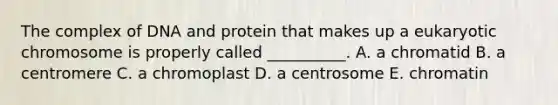 The complex of DNA and protein that makes up a eukaryotic chromosome is properly called __________. A. a chromatid B. a centromere C. a chromoplast D. a centrosome E. chromatin