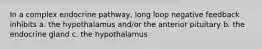 In a complex endocrine pathway, long loop negative feedback inhibits a. the hypothalamus and/or the anterior pituitary b. the endocrine gland c. the hypothalamus