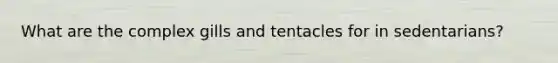 What are the complex gills and tentacles for in sedentarians?