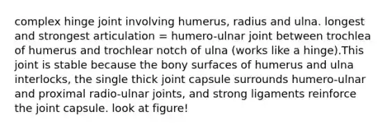 complex hinge joint involving humerus, radius and ulna. longest and strongest articulation = humero-ulnar joint between trochlea of humerus and trochlear notch of ulna (works like a hinge).This joint is stable because the bony surfaces of humerus and ulna interlocks, the single thick joint capsule surrounds humero-ulnar and proximal radio-ulnar joints, and strong ligaments reinforce the joint capsule. look at figure!