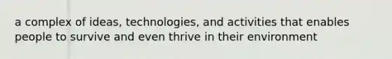 a complex of ideas, technologies, and activities that enables people to survive and even thrive in their environment