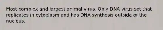 Most complex and largest animal virus. Only DNA virus set that replicates in cytoplasm and has DNA synthesis outside of the nucleus.