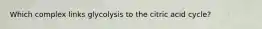 Which complex links glycolysis to the citric acid cycle?