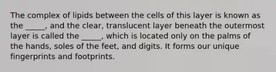 The complex of lipids between the cells of this layer is known as the _____, and the clear, translucent layer beneath the outermost layer is called the _____, which is located only on the palms of the hands, soles of the feet, and digits. It forms our unique fingerprints and footprints.