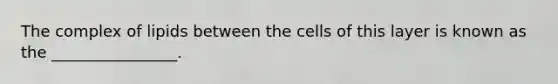 The complex of lipids between the cells of this layer is known as the ________________.