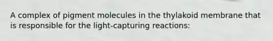 A complex of pigment molecules in the thylakoid membrane that is responsible for the light-capturing reactions: