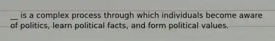 __ is a complex process through which individuals become aware of politics, learn political facts, and form political values.