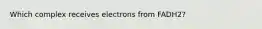 Which complex receives electrons from FADH2?