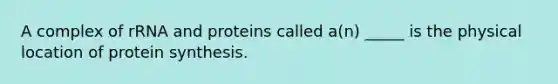 A complex of rRNA and proteins called a(n) _____ is the physical location of protein synthesis.