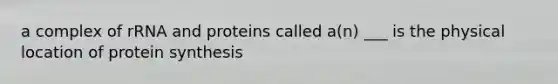 a complex of rRNA and proteins called a(n) ___ is the physical location of protein synthesis