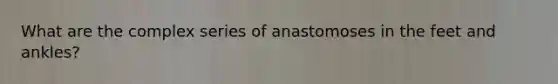 What are the complex series of anastomoses in the feet and ankles?