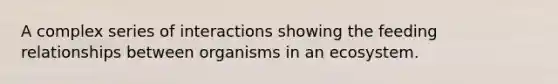 A complex series of interactions showing the feeding relationships between organisms in an ecosystem.