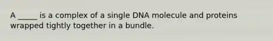 A _____ is a complex of a single DNA molecule and proteins wrapped tightly together in a bundle.