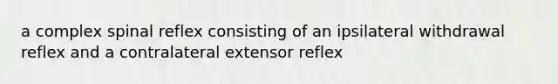 a complex spinal reflex consisting of an ipsilateral withdrawal reflex and a contralateral extensor reflex