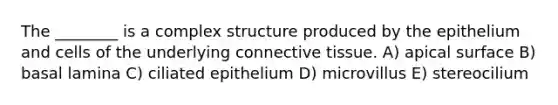 The ________ is a complex structure produced by the epithelium and cells of the underlying <a href='https://www.questionai.com/knowledge/kYDr0DHyc8-connective-tissue' class='anchor-knowledge'>connective tissue</a>. A) apical surface B) basal lamina C) ciliated epithelium D) microvillus E) stereocilium