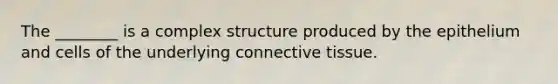 The ________ is a complex structure produced by the epithelium and cells of the underlying connective tissue.