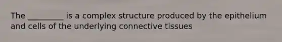 The _________ is a complex structure produced by the epithelium and cells of the underlying connective tissues