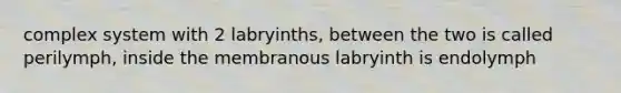 complex system with 2 labryinths, between the two is called perilymph, inside the membranous labryinth is endolymph