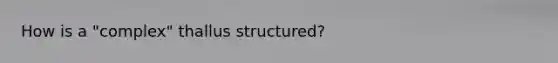 How is a "complex" thallus structured?