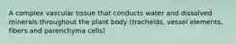 A complex vascular tissue that conducts water and dissolved minerals throughout the plant body (tracheids, vessel elements, fibers and parenchyma cells)