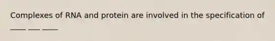 Complexes of RNA and protein are involved in the specification of ____ ___ ____