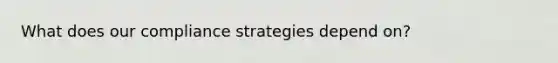 What does our compliance strategies depend on?