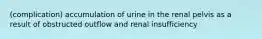 (complication) accumulation of urine in the renal pelvis as a result of obstructed outflow and renal insufficiency