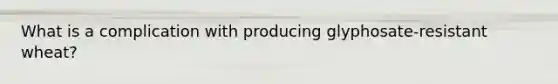 What is a complication with producing glyphosate-resistant wheat?