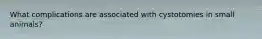 What complications are associated with cystotomies in small animals?