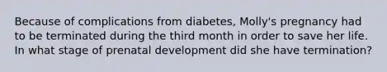 Because of complications from diabetes, Molly's pregnancy had to be terminated during the third month in order to save her life. In what stage of prenatal development did she have termination?