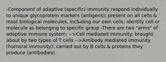 -Component of adaptive (specific) immunity respond individually to unique glycoprotein markers (antigens); present on all cells & most biological molecules, including our own cells; identify cell or molecule as belonging to specific group -There are two "arms" of adaptive immune system: -->Cell mediated immunity: brought about by two types of T cells -->Antibody mediated immunity (humoral immunity): carried out by B cells & proteins they produce (antibodies)