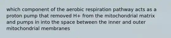 which component of the aerobic respiration pathway acts as a proton pump that removed H+ from the mitochondrial matrix and pumps in into the space between the inner and outer mitochondrial membranes