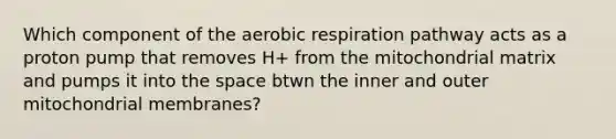 Which component of the <a href='https://www.questionai.com/knowledge/kyxGdbadrV-aerobic-respiration' class='anchor-knowledge'>aerobic respiration</a> pathway acts as a proton pump that removes H+ from the mitochondrial matrix and pumps it into <a href='https://www.questionai.com/knowledge/k0Lyloclid-the-space' class='anchor-knowledge'>the space</a> btwn the inner and outer mitochondrial membranes?